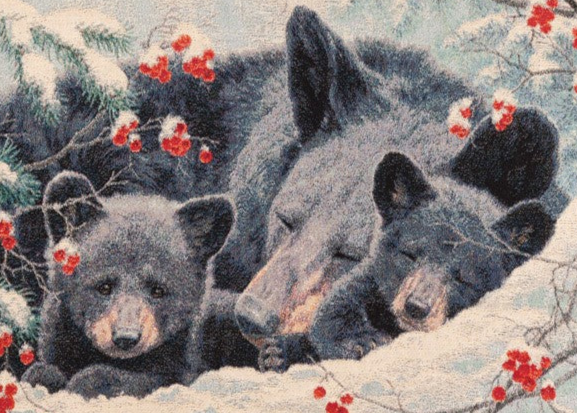 Cozy Bear 60X50 Tapestry Throw Woven