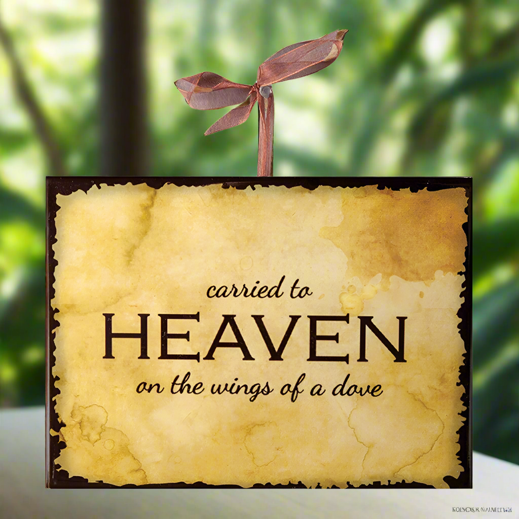 Wings Of A Dove - Inpsirational Plaque Set of 3