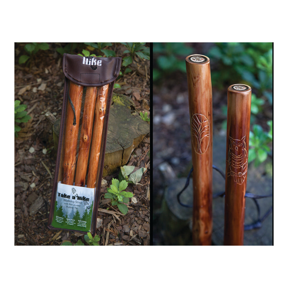 Take A Hike Compass Walking Stick With Compass & Pouch