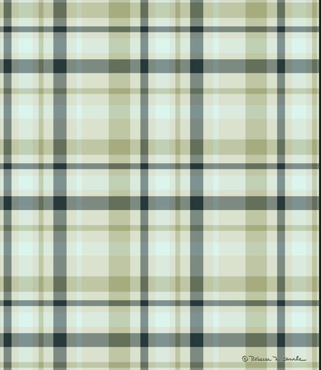 Bless This Home Dye Poly Throw 50x60" Poly Throw