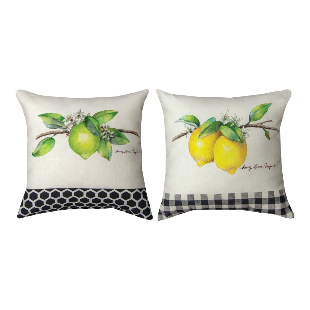 Grove Song Fruit Climaweave Pillow 12" Indoor/Outdoor