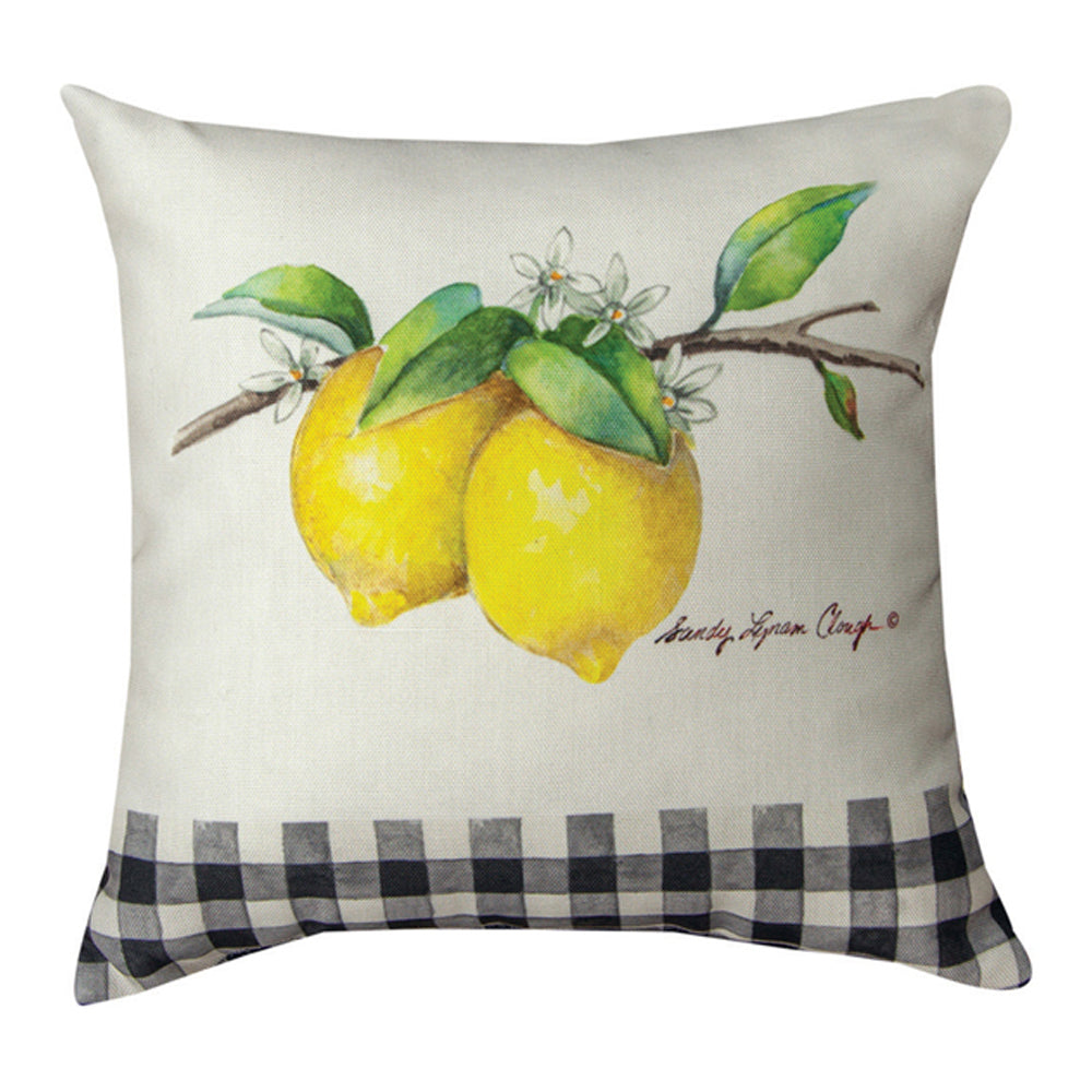 Grove Song Fruit Climaweave Pillow 12" Indoor/Outdoor