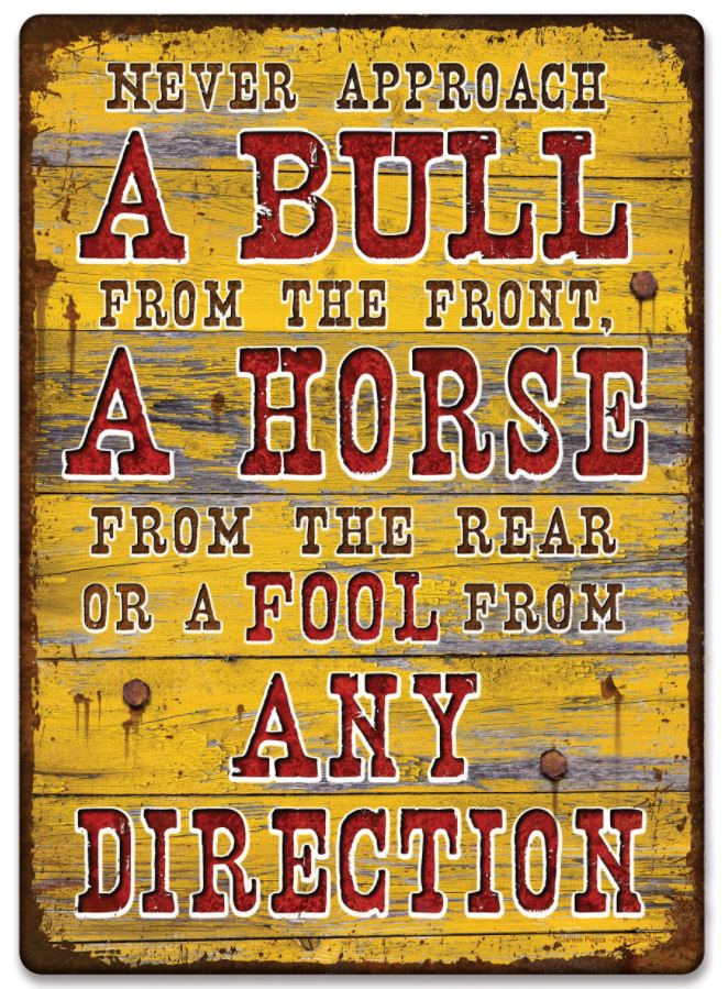 Never Approach a Bull - 12" x 17" - Tin Sign