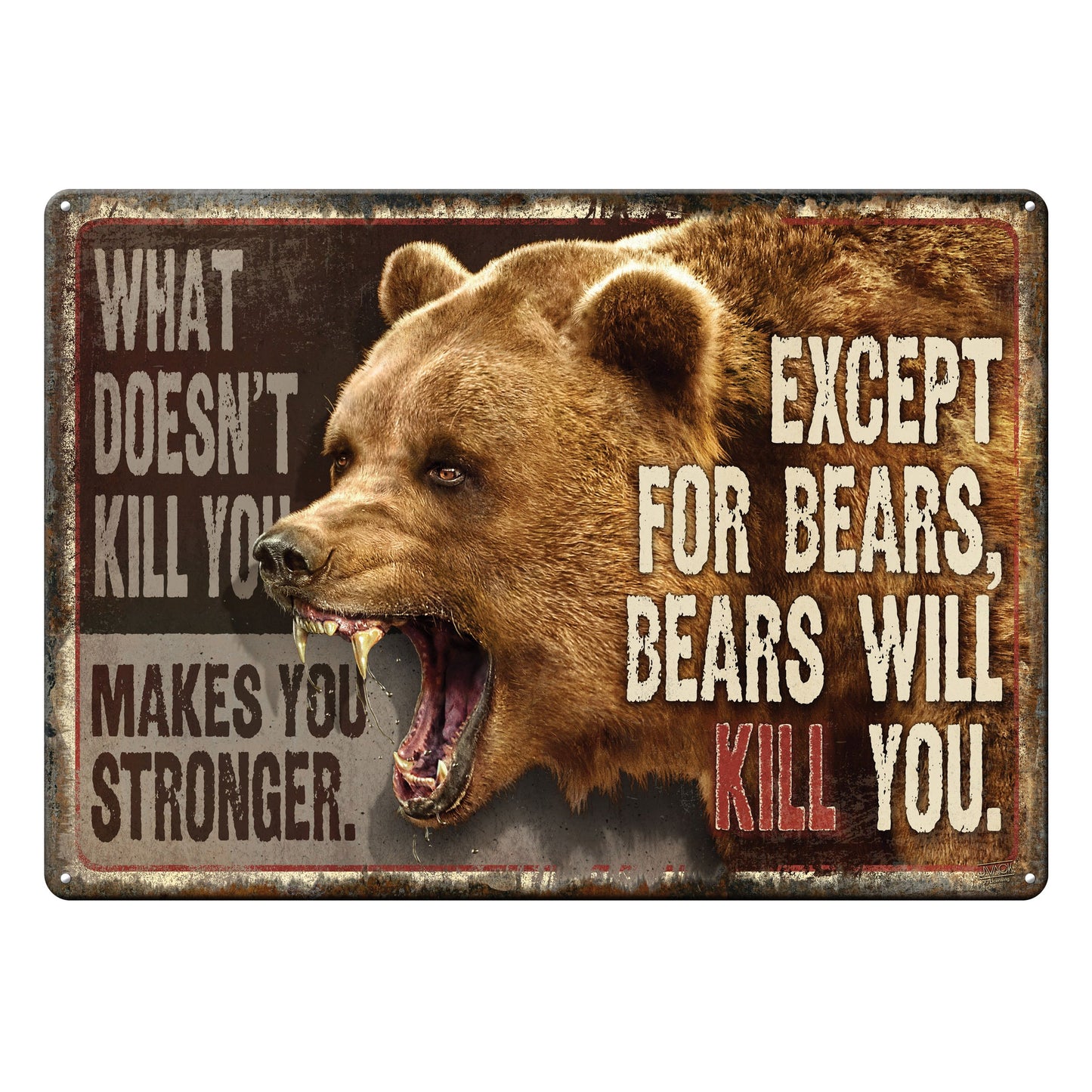 What Doesn't Kill You Will Make You Stronger - Large 12x17" Tin Sign