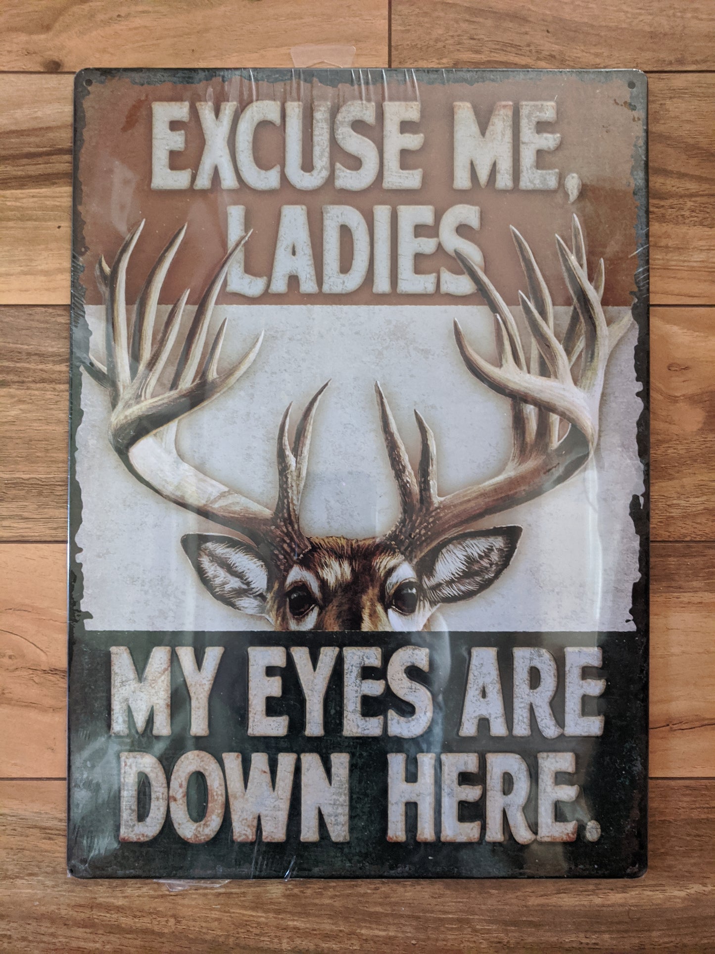 Excuse me Ladies 12"x17" Tin Sign