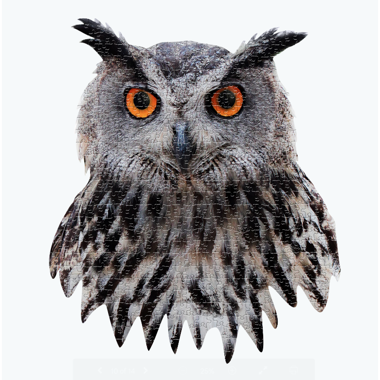 Madd Capp Puzzles - I am Owl
