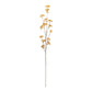 Golden Patrina Spray (Set of 12)