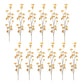 Golden Patrina Spray (Set of 12)