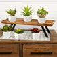 Assorted Succulent in Traditional White Pot (Set of 6)