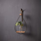 Hanging Bottle Vase (Set of 2)  21"H