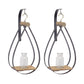 Hanging Bottle Vase (Set of 2)  21"H