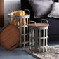 Side Tables (Set of 2) 15.5"H, 20.25"H Metal/Wood