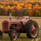 Autumn Colors Tapestry Throw 50x60