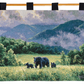 Room To Roam Tapestry Wall Hanging 36x26
