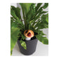 Terracotta Flower Friends Assorted set of 12