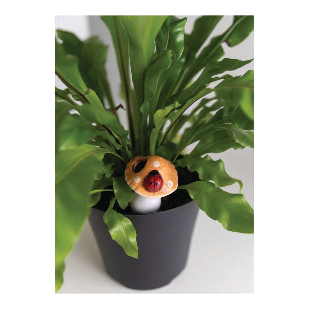 Terracotta Flower Friends Assorted set of 12