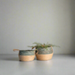 Woven Basket Green Set of 2