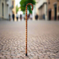Lean On Me Wood Cane - Hooked Set of 4