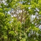 Set of 4 Assorted Gold Diamond-Shaped Metal Wind Chimes with Beaded Accents