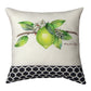 Grove Song Fruit Climaweave Pillow 12" Indoor/Outdoor