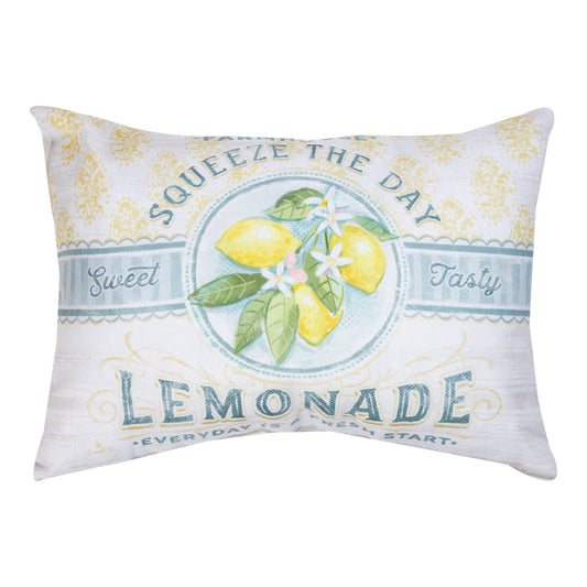 Farmhouse Living Squeeze The Day Climaweave Pillow 18"X13" Indoor/Outdoor