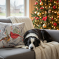 Cardinal Pair Climaweave Pillow 18x18