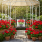 Gazebo with red flowers and a chair with a decorative pillow in a garden setting