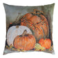 Pumpkin On The Floor Climaweave Pillow 18x18