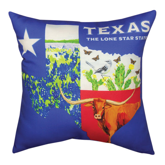 Texas Collage Climaweave Pillow 18" Indoor/Outdoor