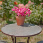 Three Piece Round Top Galvanized Bistro Set "Tbilisi 1918"