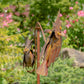 Hoo-lio & Hoo-dini Two Owls Balance Garden Stake