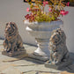 21" Tall Set of 2 Antique Bronze Lion Sentry Statues with Fleur-De-Lis Harold & Leo