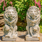 21" Tall Set of 2 Antique Grey Lion Sentry Statues with Fleur-De-Lis Harold & Leo