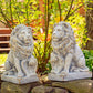 21" Tall Set of 2 Antique Grey Lion Sentry Statues with Fleur-De-Lis Harold & Leo