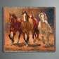 Hoofbeats & Heartbeats-60x50 Woven Tapestry Throw