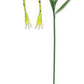 Froggy Solar Garden Stake 48"