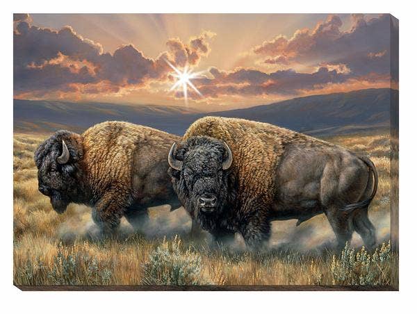 Light Canvas Dusty Plain Bison -  Millette