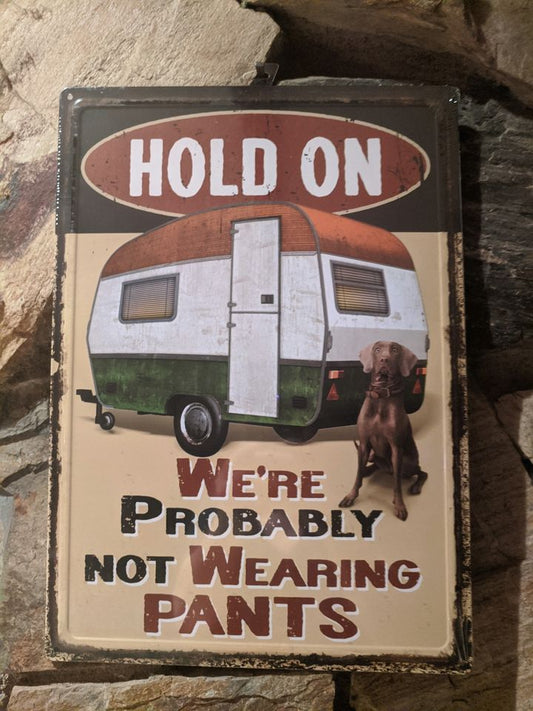 Hold On We're Probably Not Wearing Pants 12"x17" Tin Sign