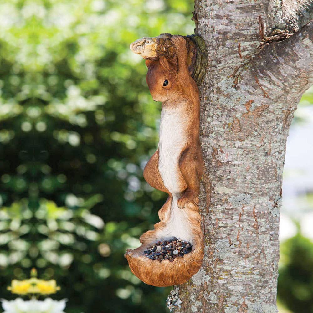 Hanging Squirrel Feeder