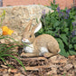 Bashful and Hopper Bunny Statues