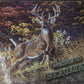 Welcome to Buck Country Tempered Glass Cutting Board 12"x16"