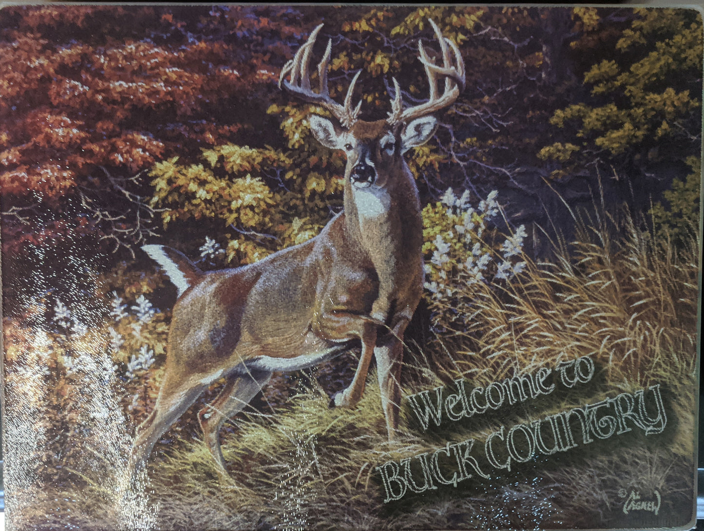 Welcome to Buck Country Tempered Glass Cutting Board 12"x16"