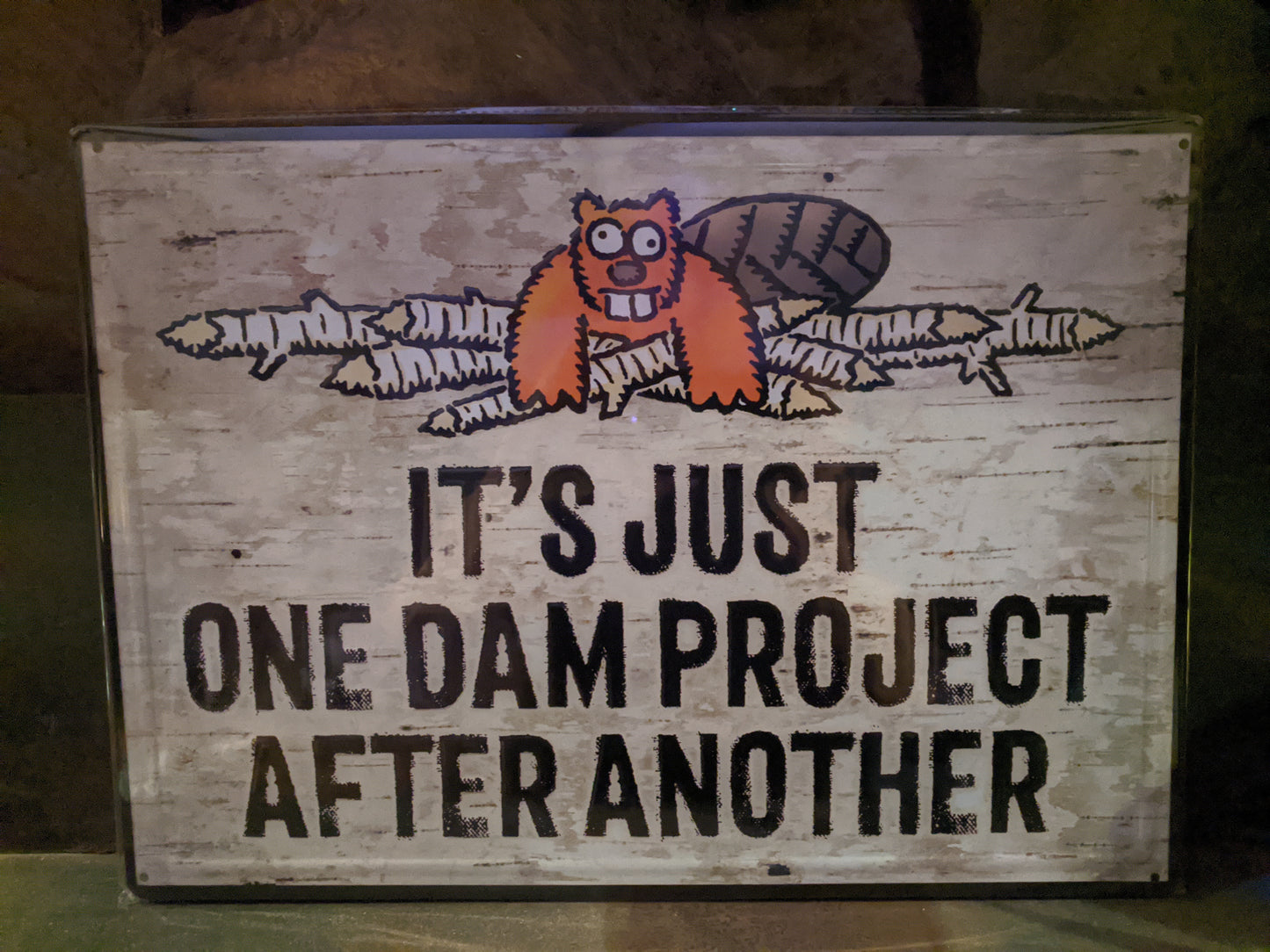 It's Just One Dam Project After Another 17"x12" Tin Sign