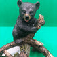 Baby Bear Pinetree - Coaster 5-Piece Set