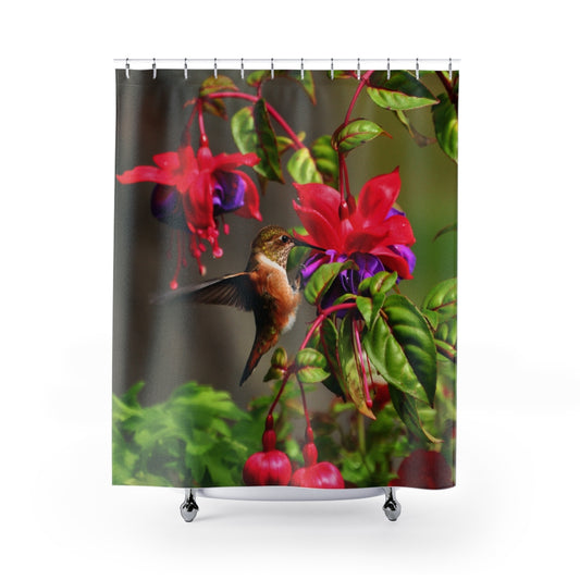 Shower Curtains 71x74 Hummingbird
