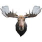 Madd Capp Puzzles - I am Moose
