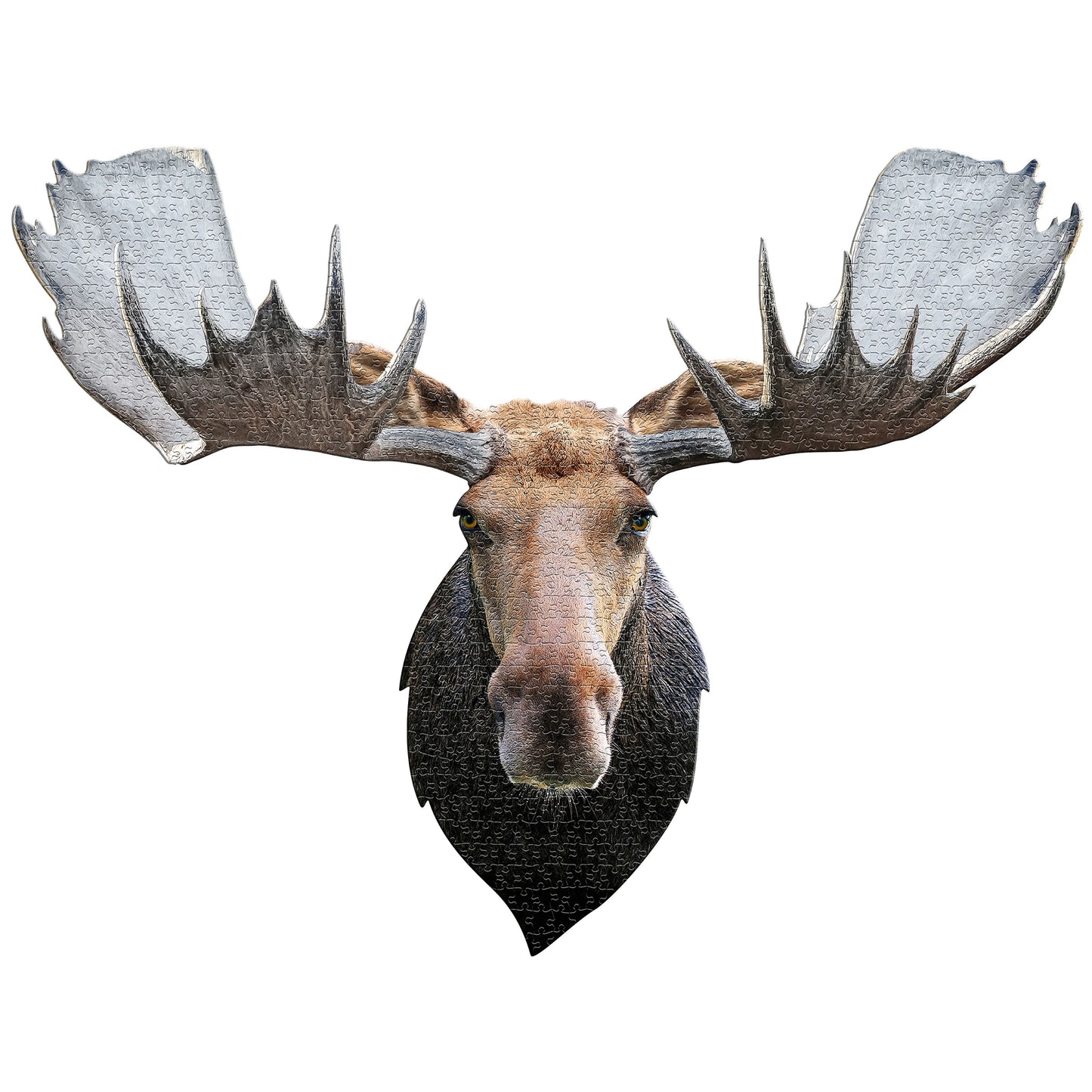 Madd Capp Puzzles - I am Moose